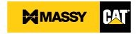 Massy Cat