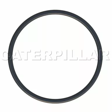 124-0506: Guarnizione del coperchio della valvola