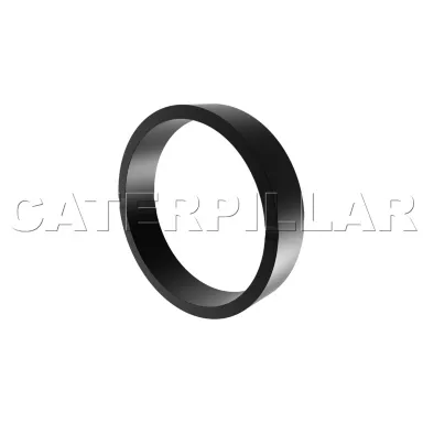 261-1018: BAGUE DE BUTÉE