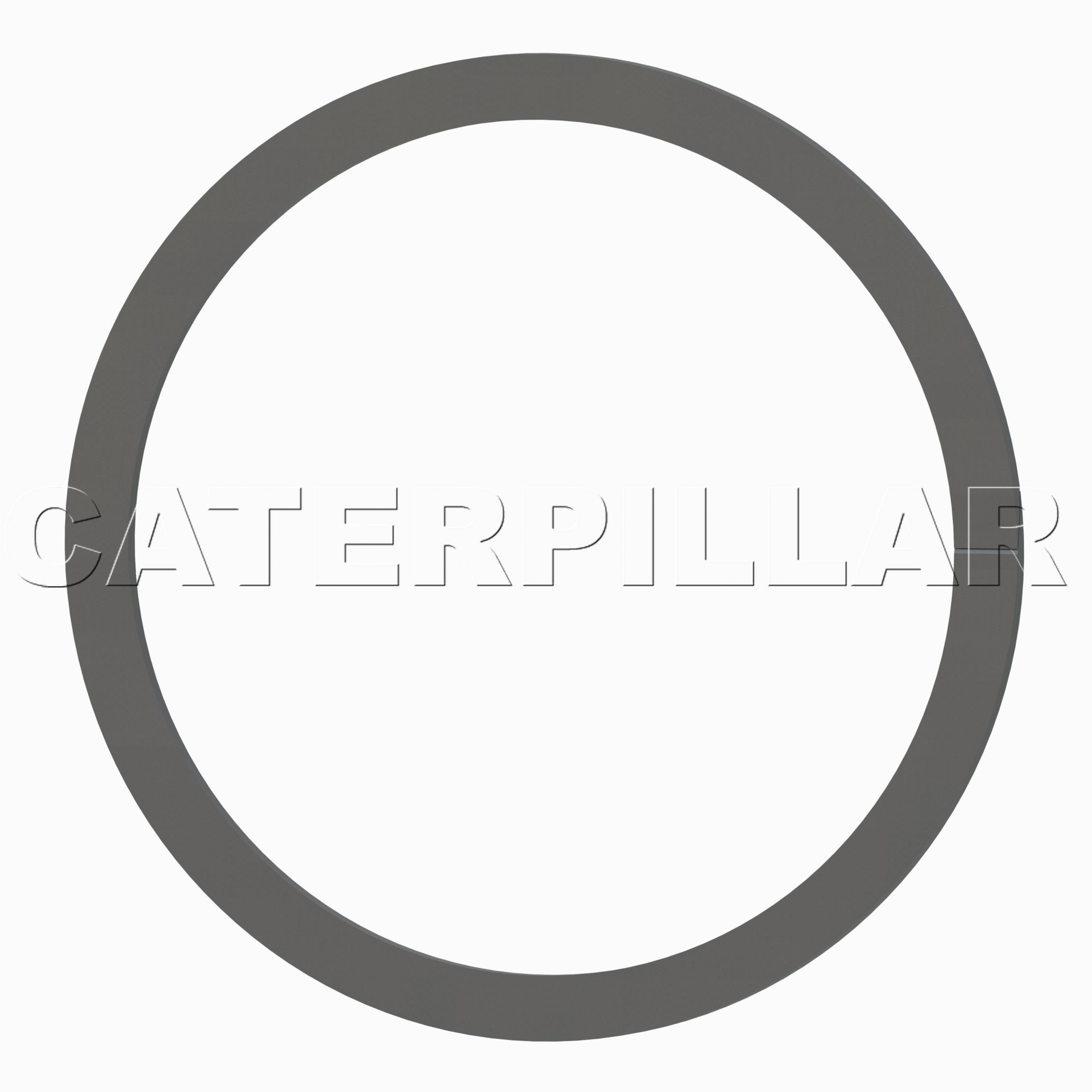 095-1796: SICHERUNGSRING