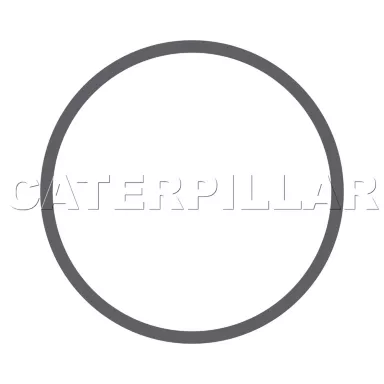 030-6133: RING