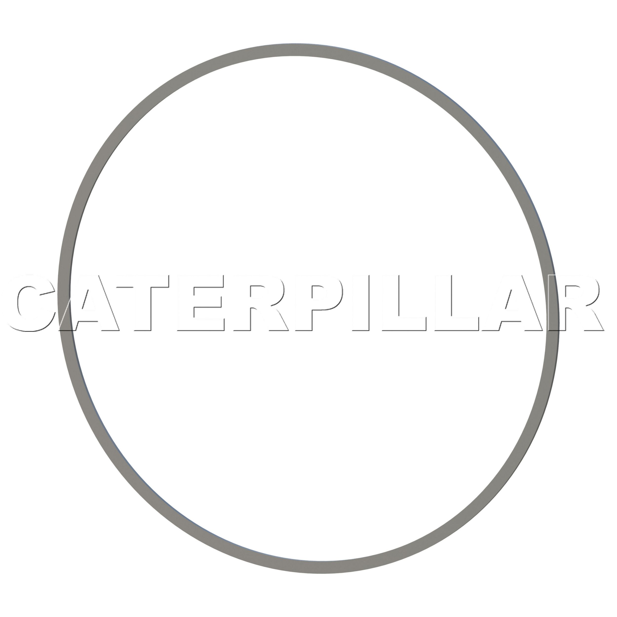 096-1566: BAGUE D'APPUI