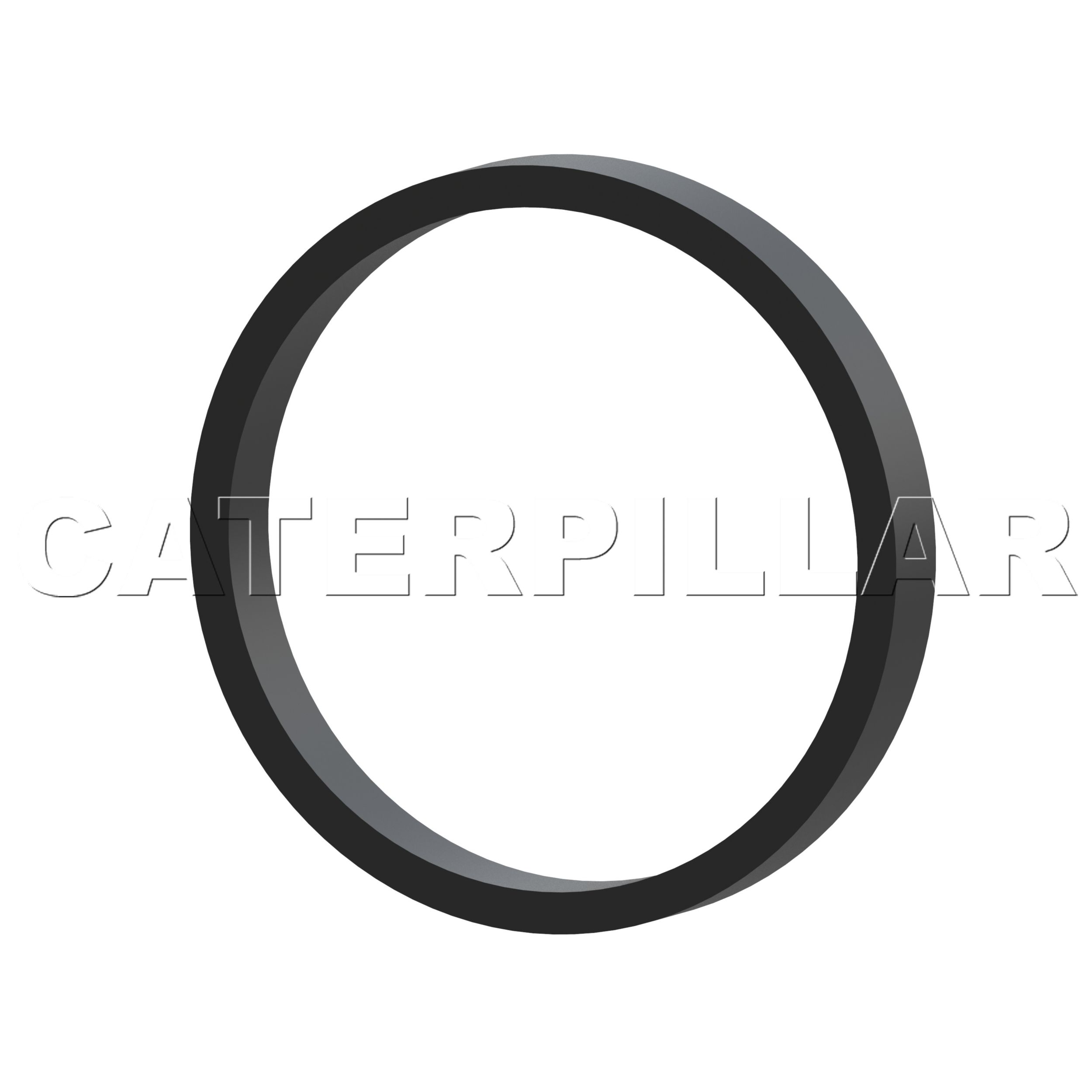 6P-4973: VÒNG ĐỆM