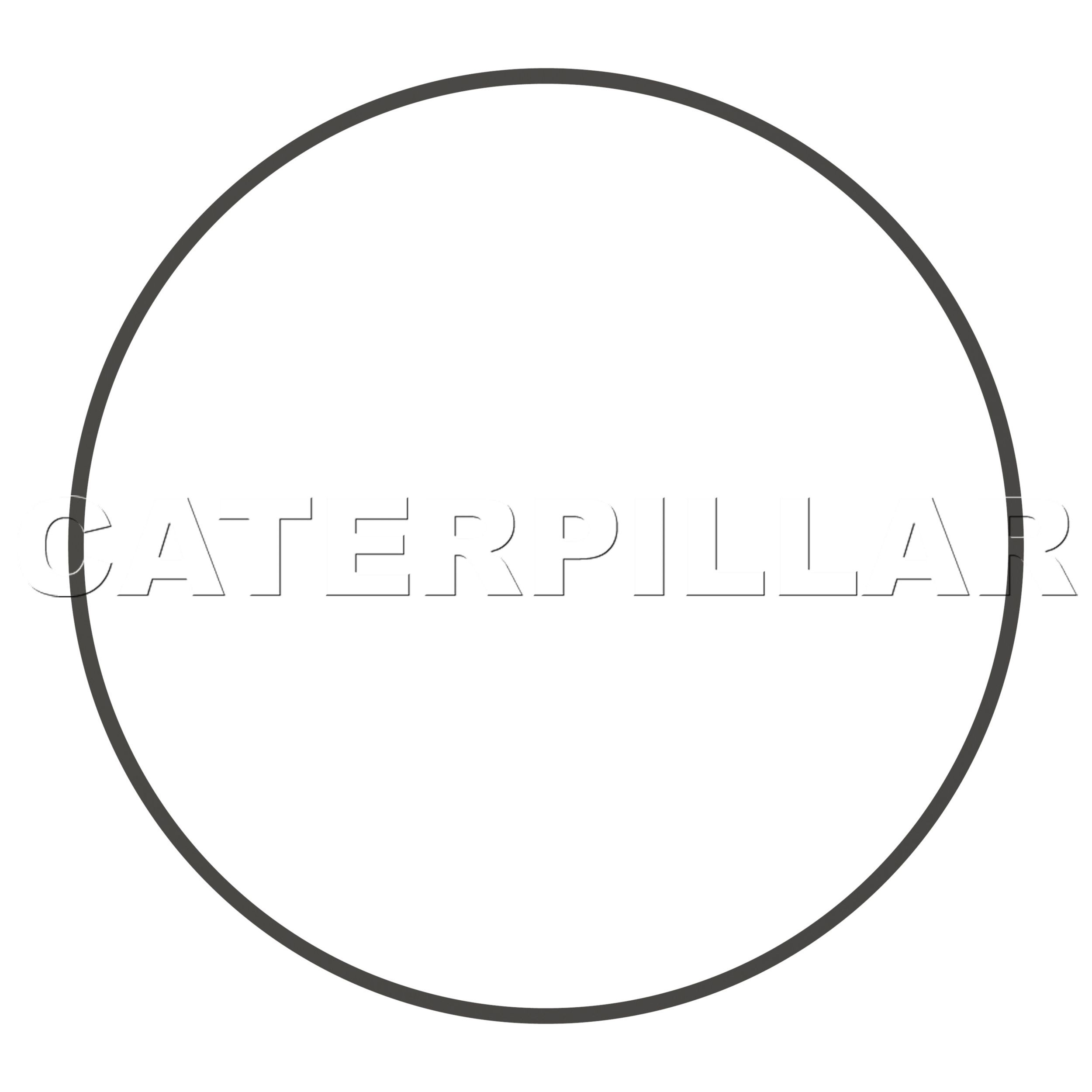 6e-6236-seal-catcorp