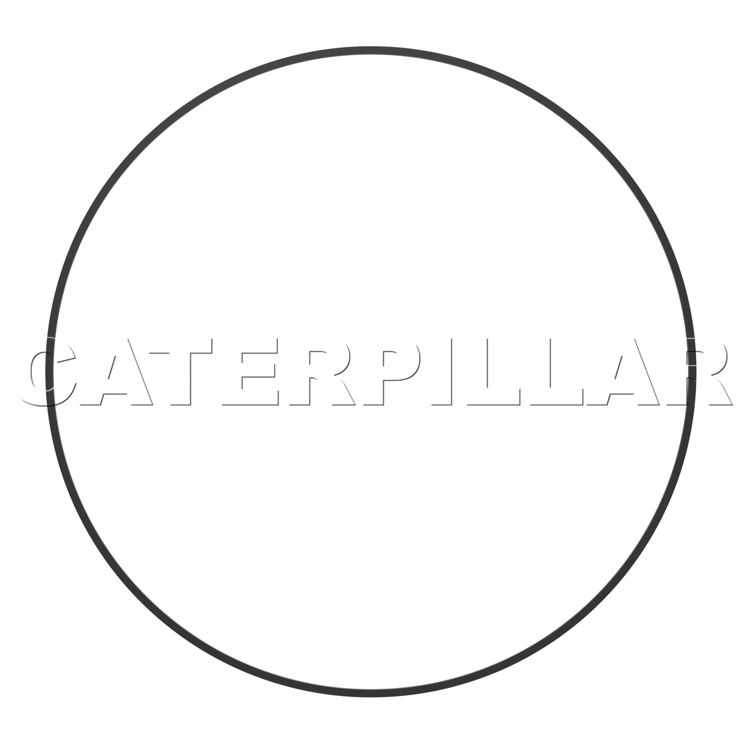 279-9903: 302.56 mm 内径双联轮密封圈 | CATCorp