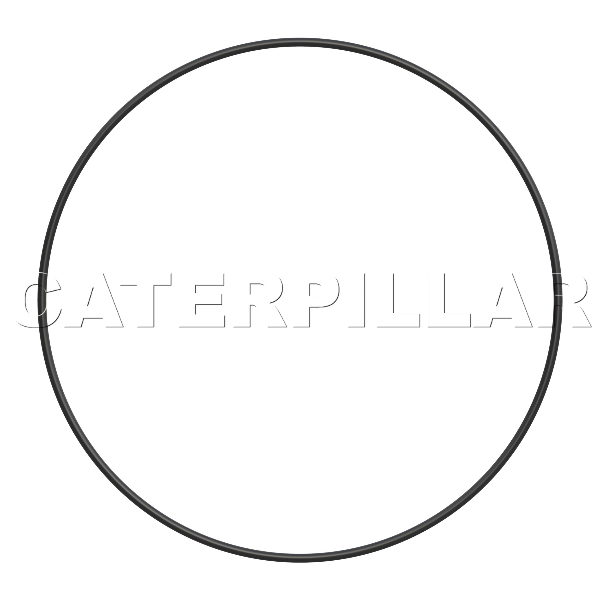 1N-6000: O-RINGAFDICHTING