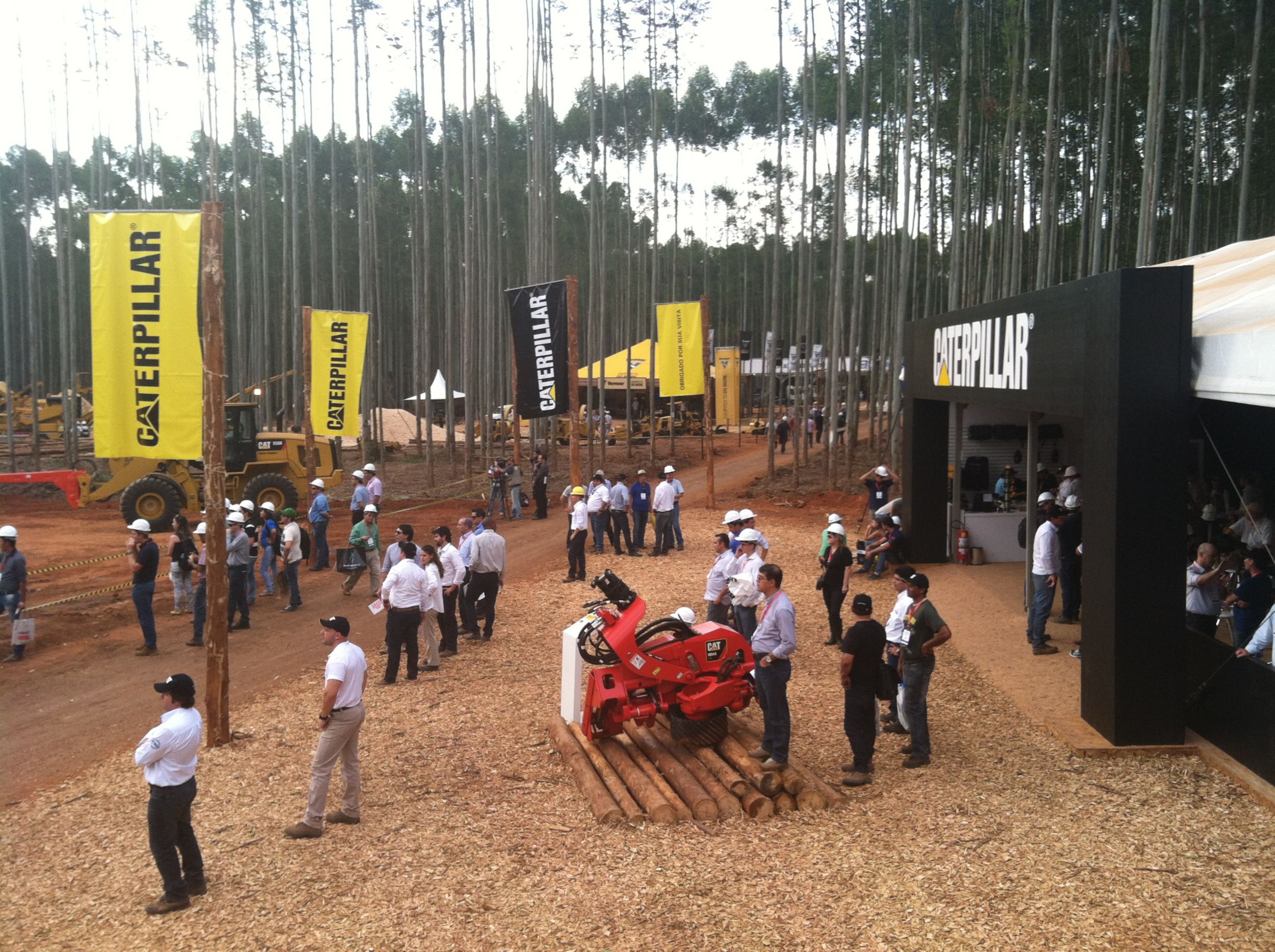 Expoforest