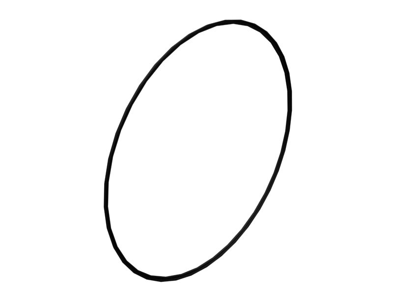 Уплотнительное кольцо с внутренним диаметром 291,06 мм