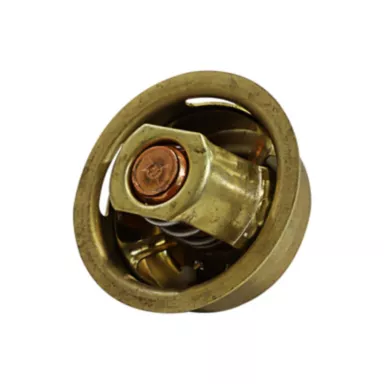 5I-8010: Temperature Regulator