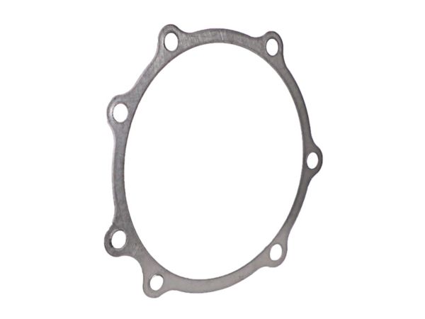 Fuel Pump Cover Gasket