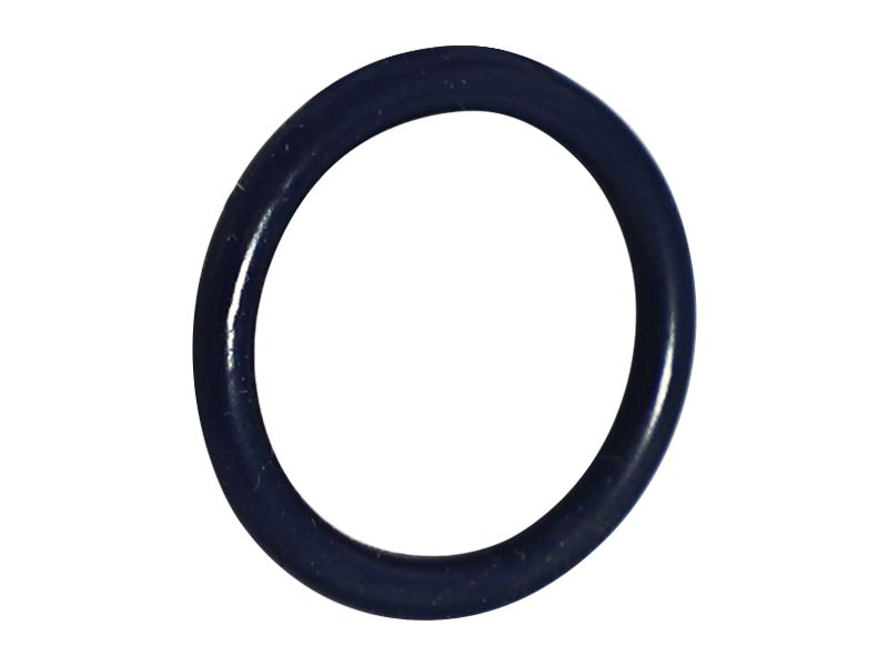 Уплотнительное кольцо магистрали впрыска топлива