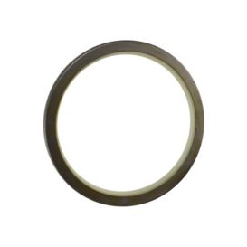 166-1497: 109.85mm Inner Diameter Pin Seal