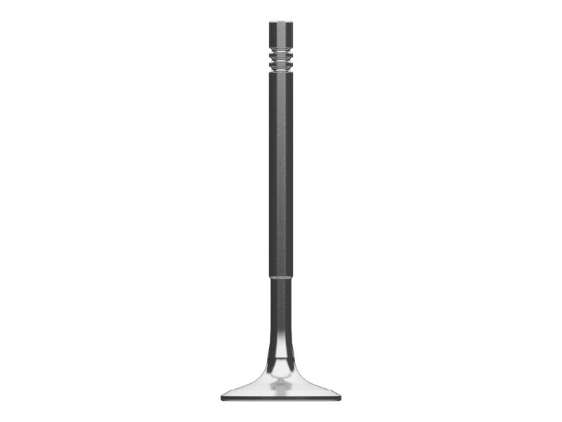 Впускной клапан двигателя