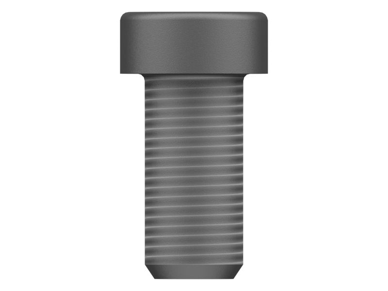 123-4953: M12-1.75 X 25mm Hex Socket Head Bolt 1234953 купить