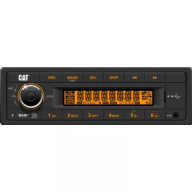 524-3711: Radio Group - AM/FM