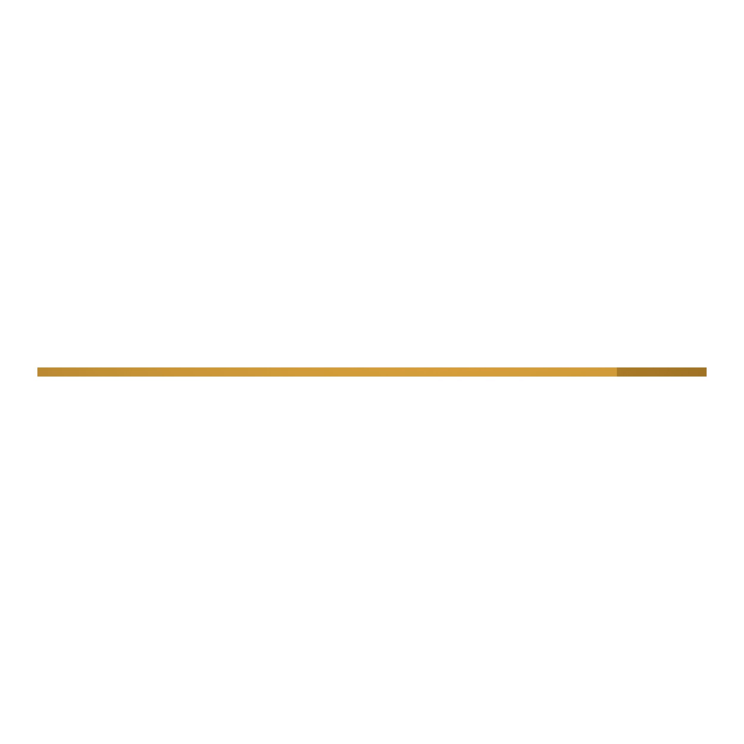 Защитная пластина