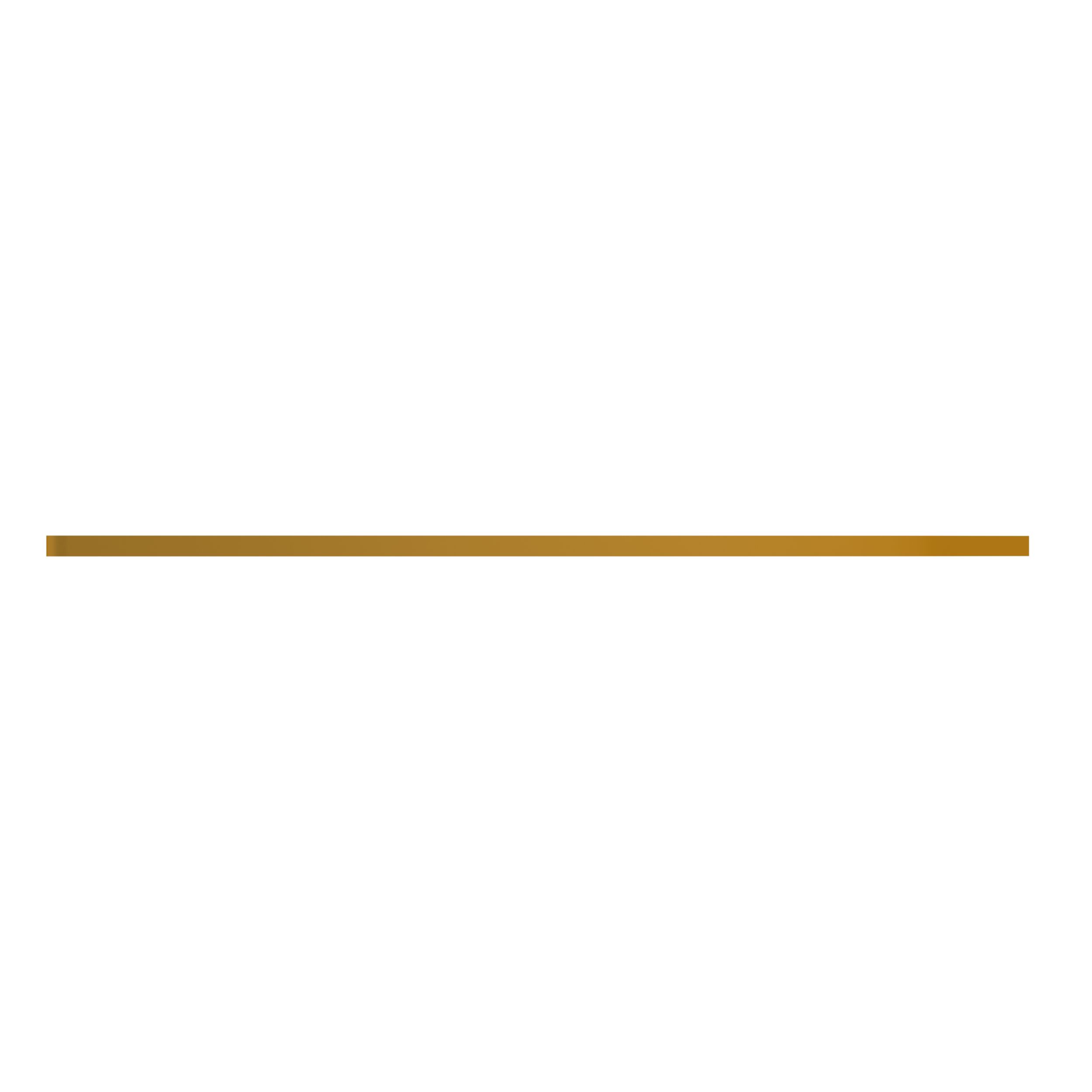 ПЛАСТИНА ИЗНОСНАЯ