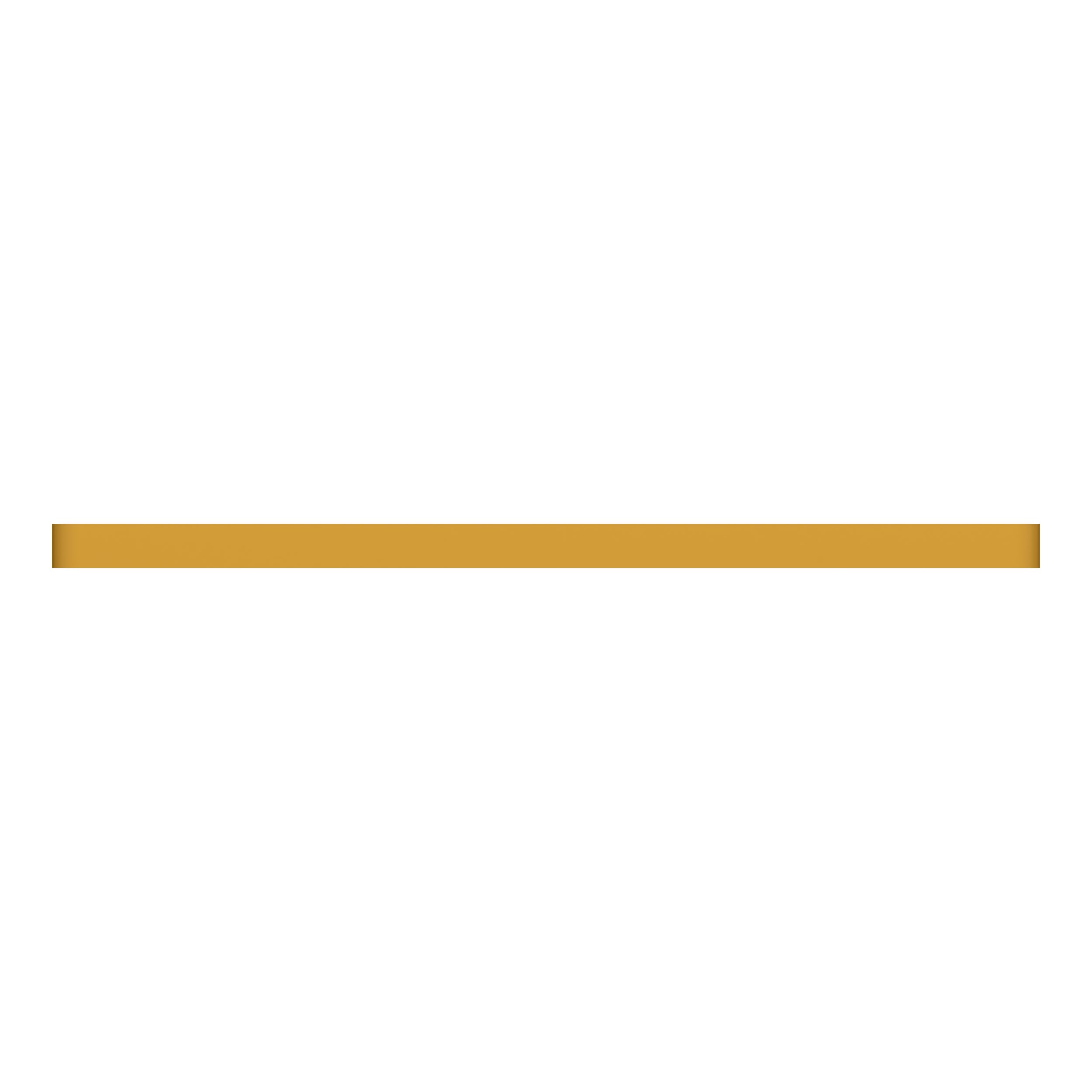 ПЛАСТИНА ИЗНОСНАЯ