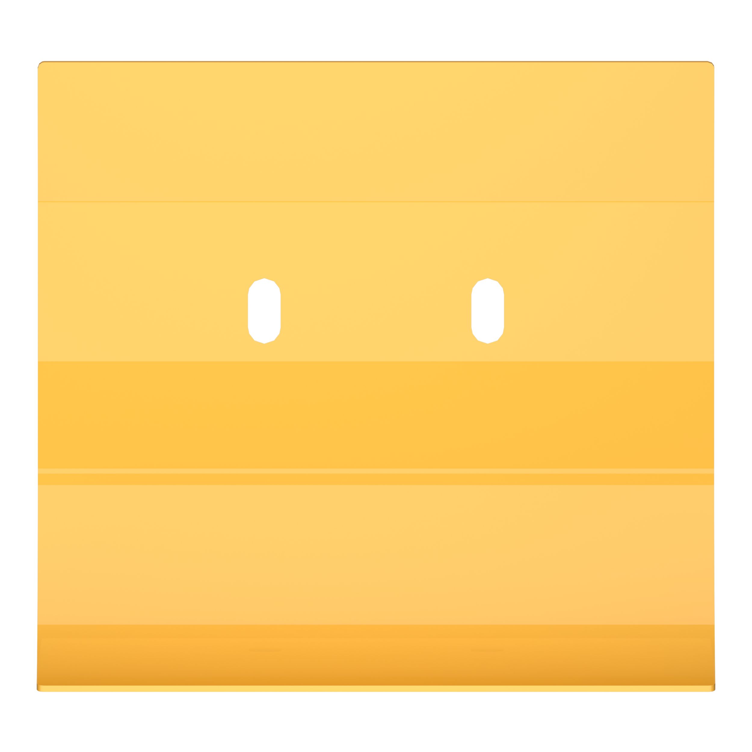 ИЗНОСНАЯ ПЛАСТИНА