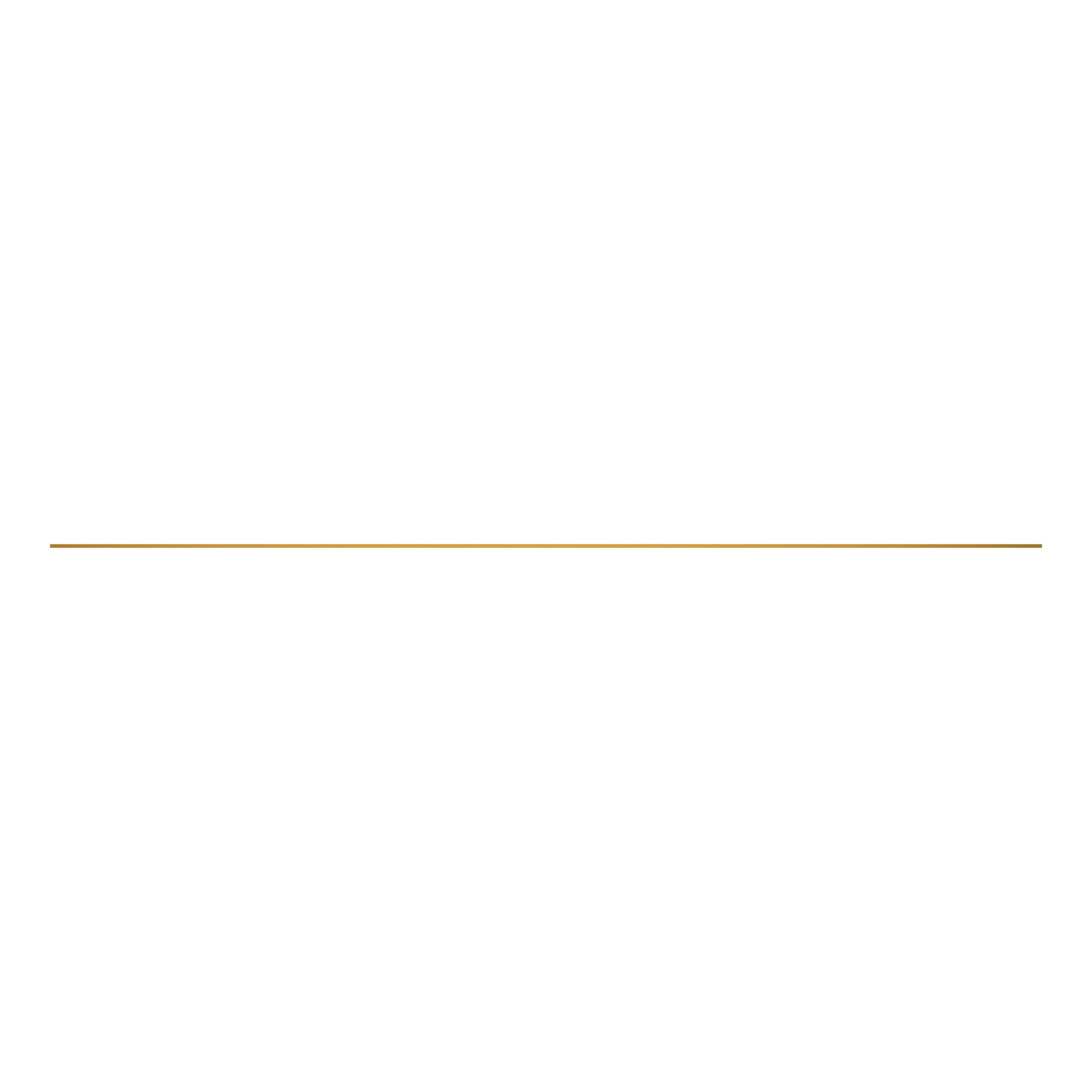 ПЛАСТИНА ИЗНОСНАЯ