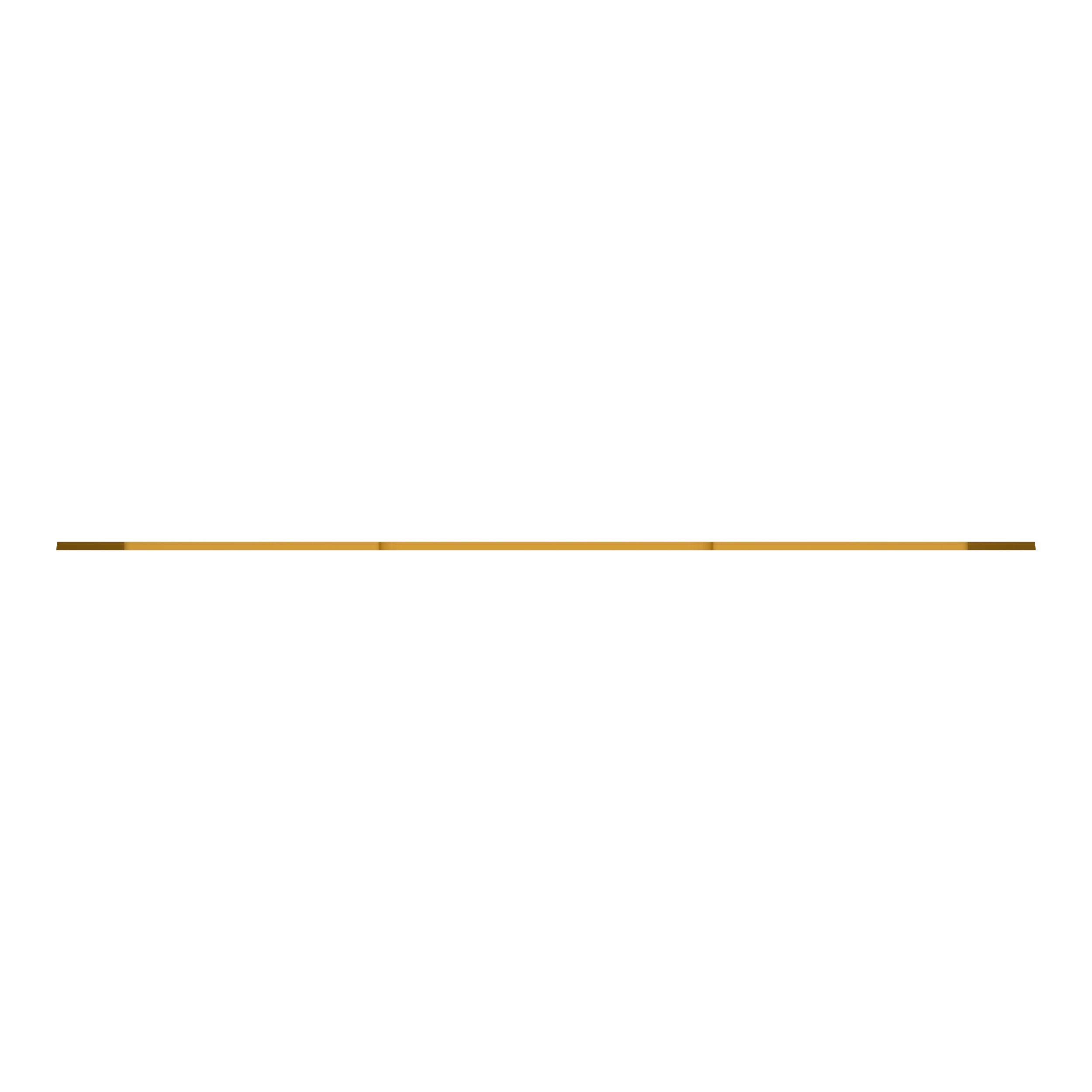 ПЛАСТИНА ИЗНОСНАЯ