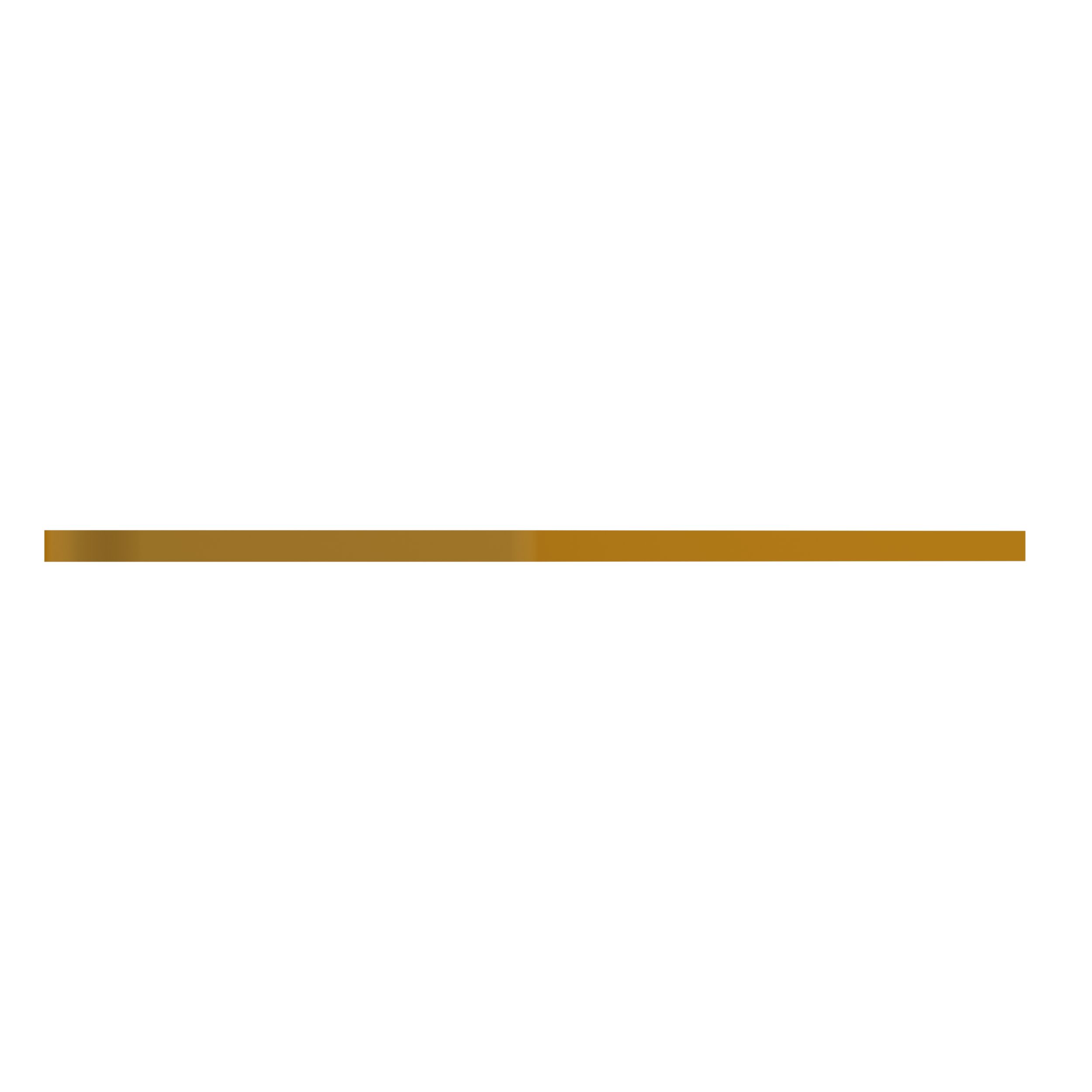 ПЛАСТИНА ИЗНОСНАЯ