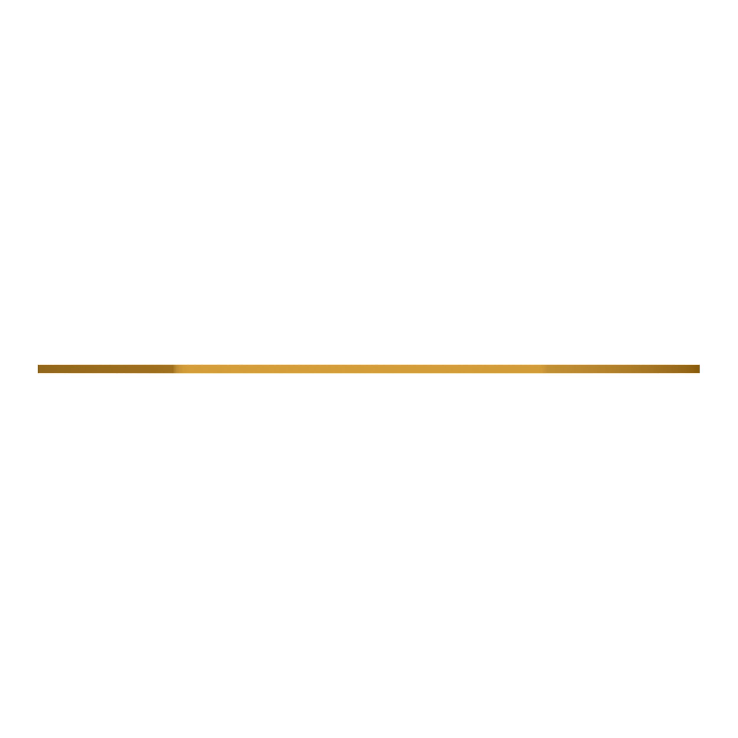 ПЛАСТИНА ИЗНОСНАЯ