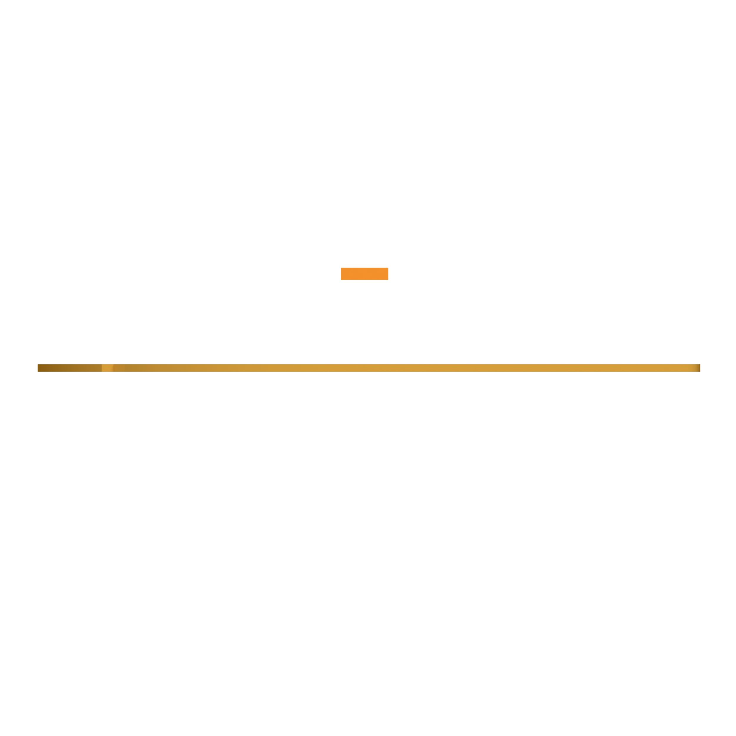 ПЛАСТИНА ИЗНОСНАЯ