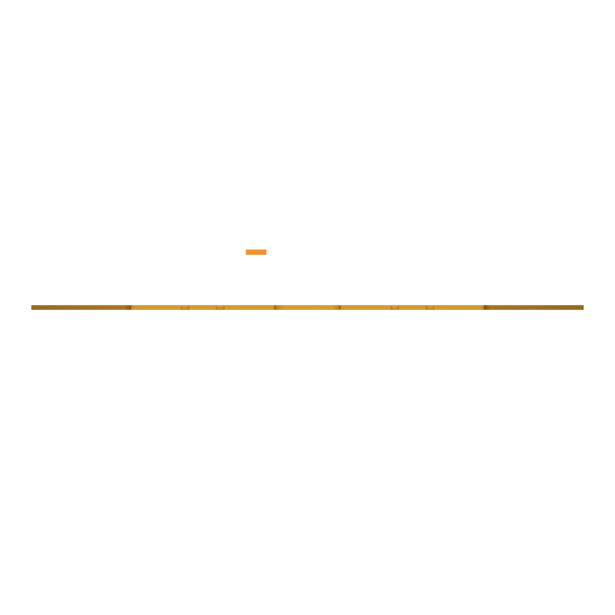 ПЛАСТИНА ИЗНОСНАЯ