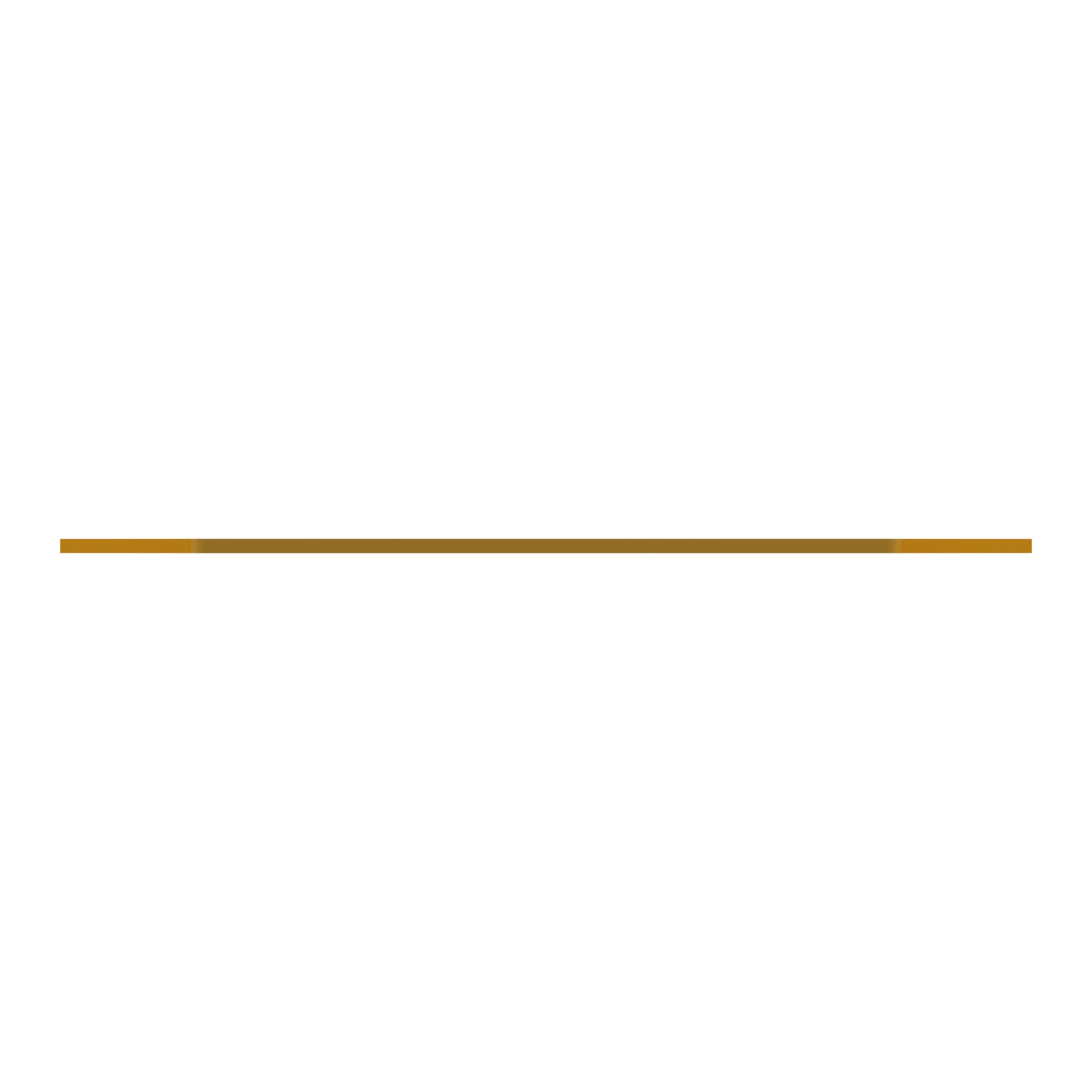 ПЛАСТИНА ИЗНОСНАЯ