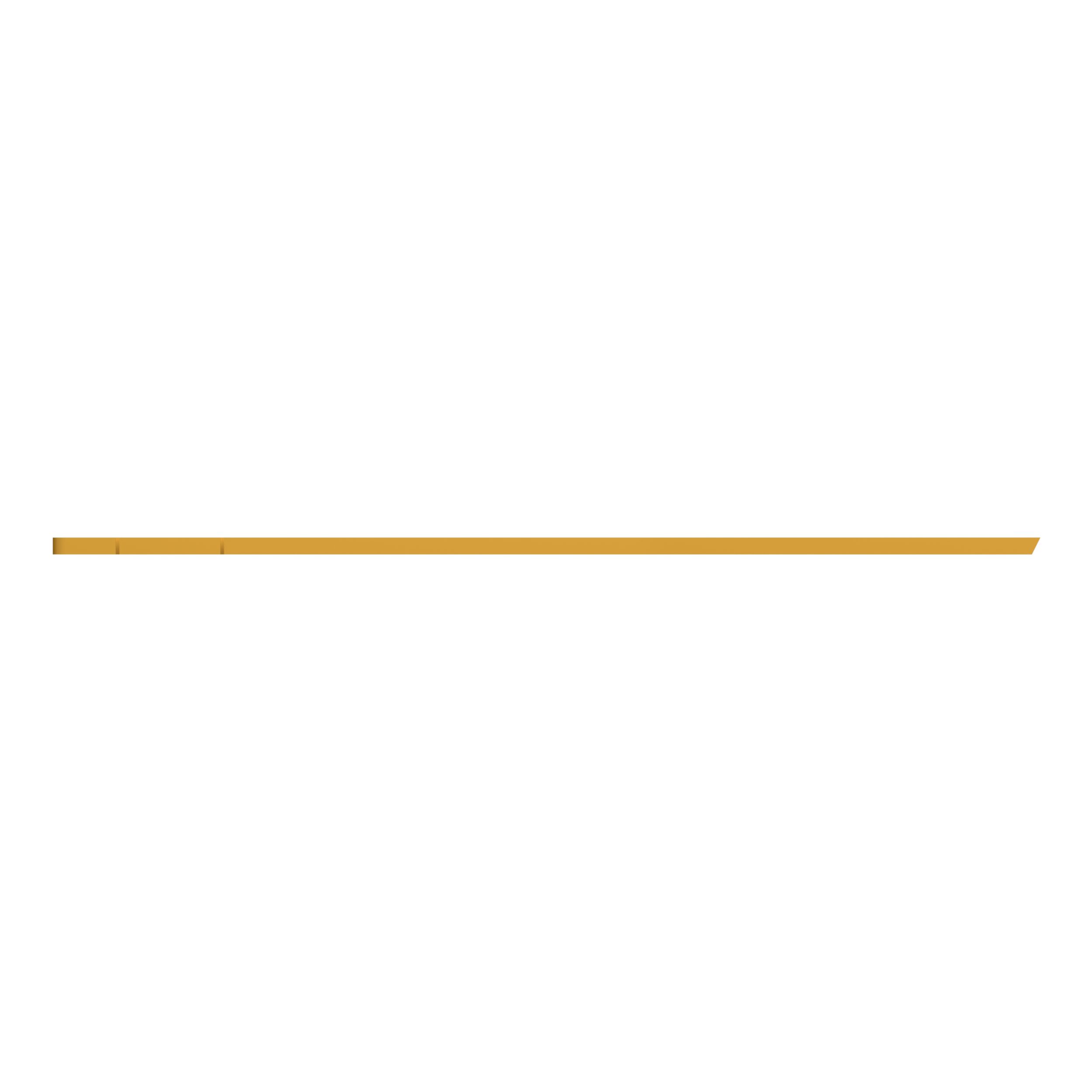 ПЛАСТИНА ИЗНОСНАЯ