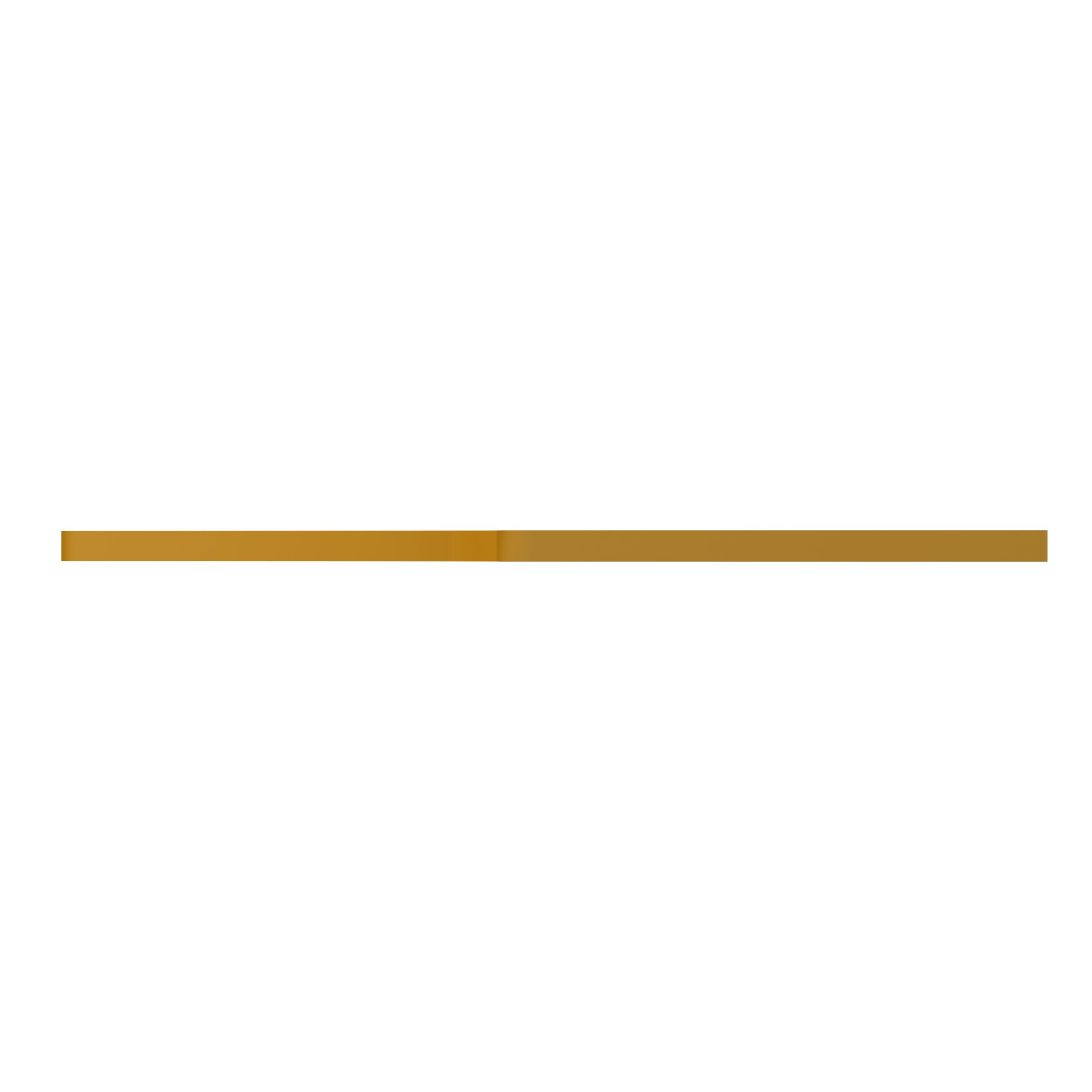 ПЛАСТИНА ИЗНОСНАЯ