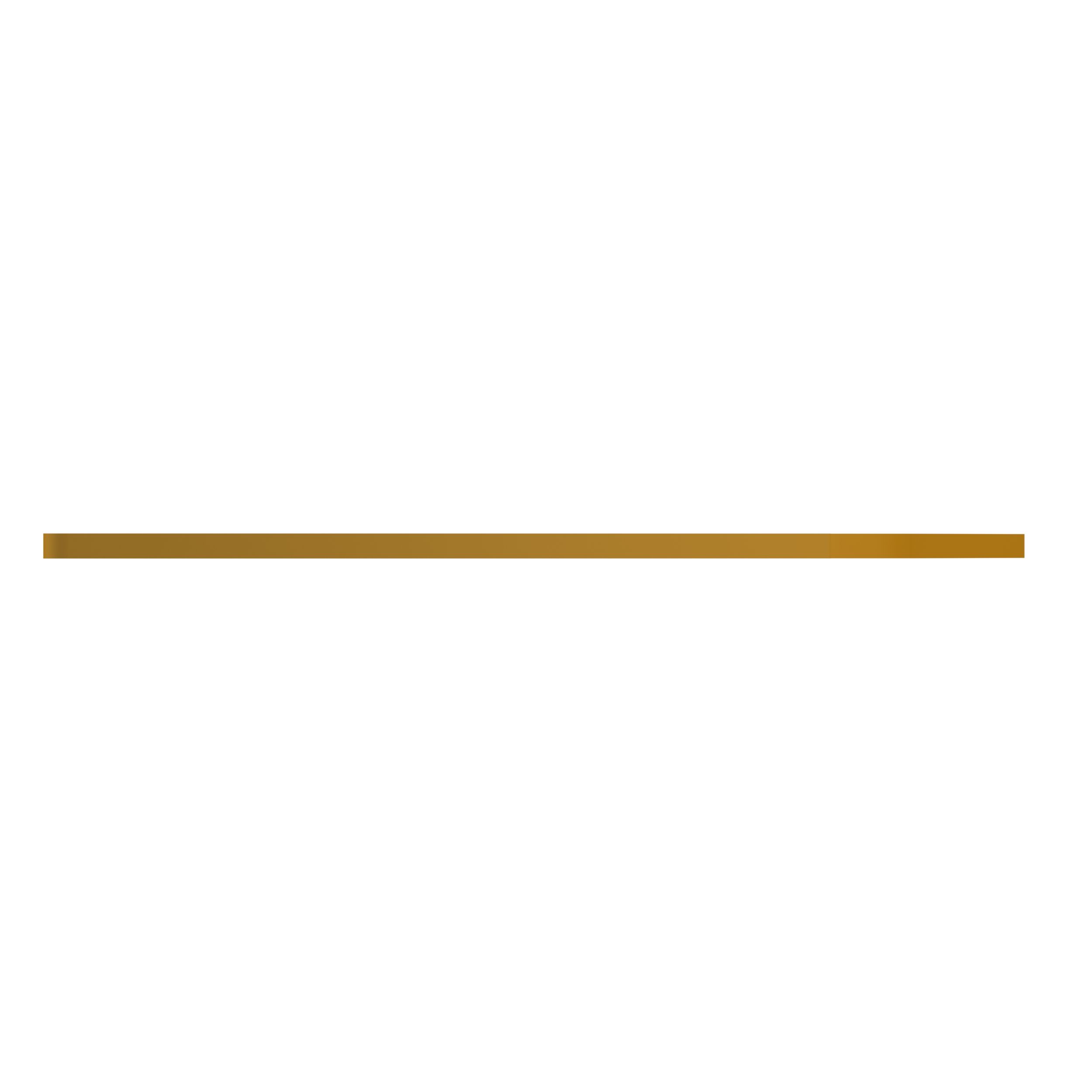 ПЛАСТИНА ИЗНОСНАЯ