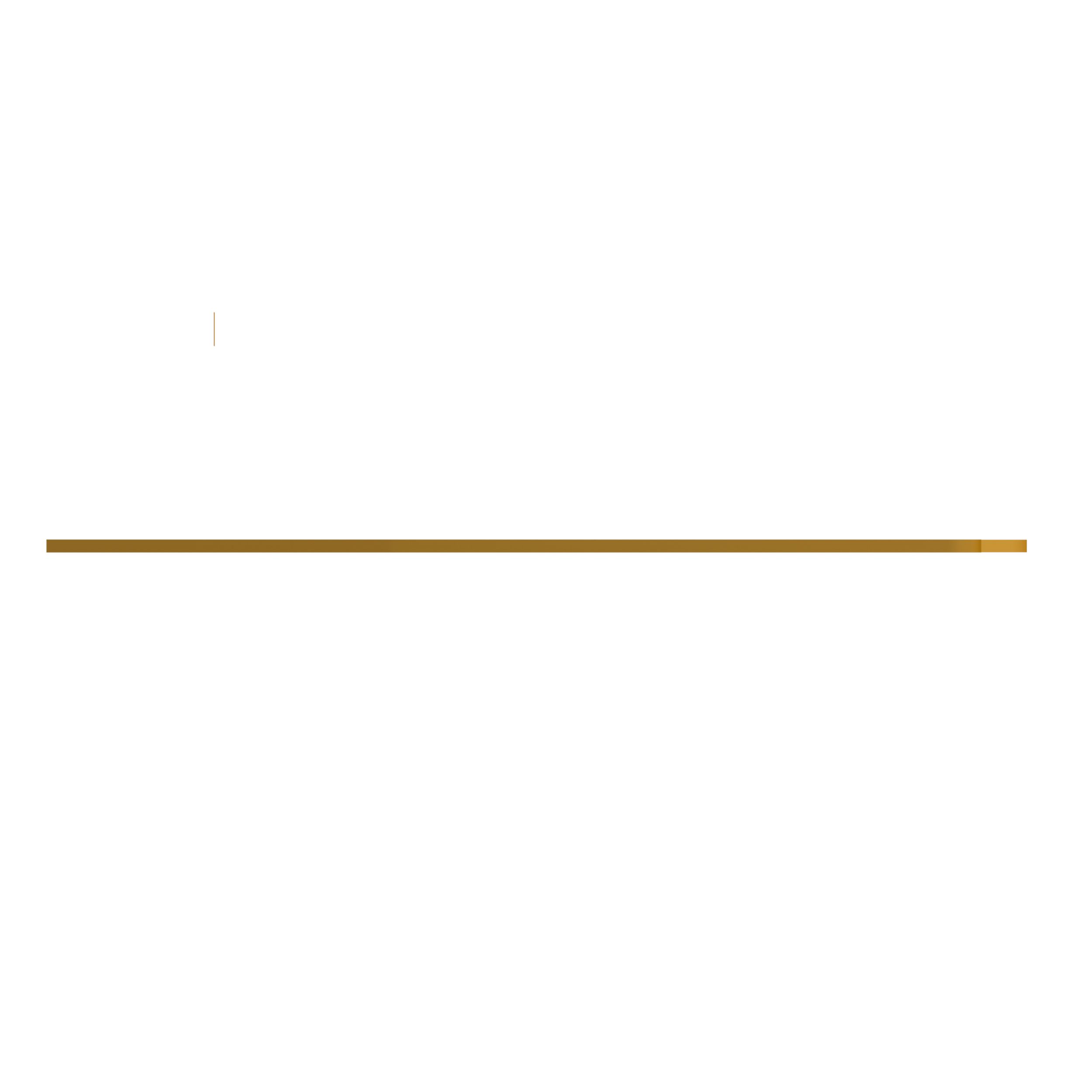 ПЛАСТИНА ИЗНОСНАЯ