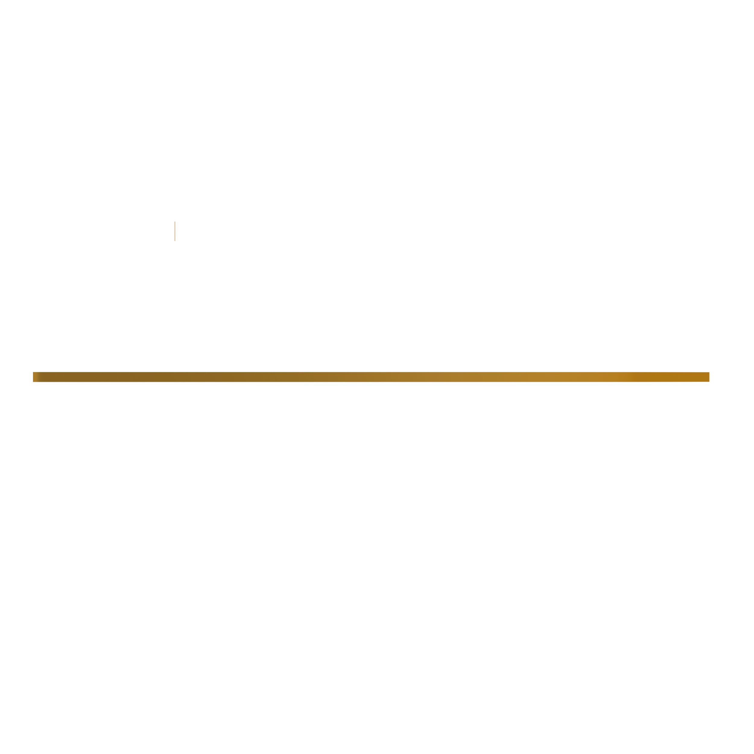 ПЛАСТИНА ИЗНОСНАЯ