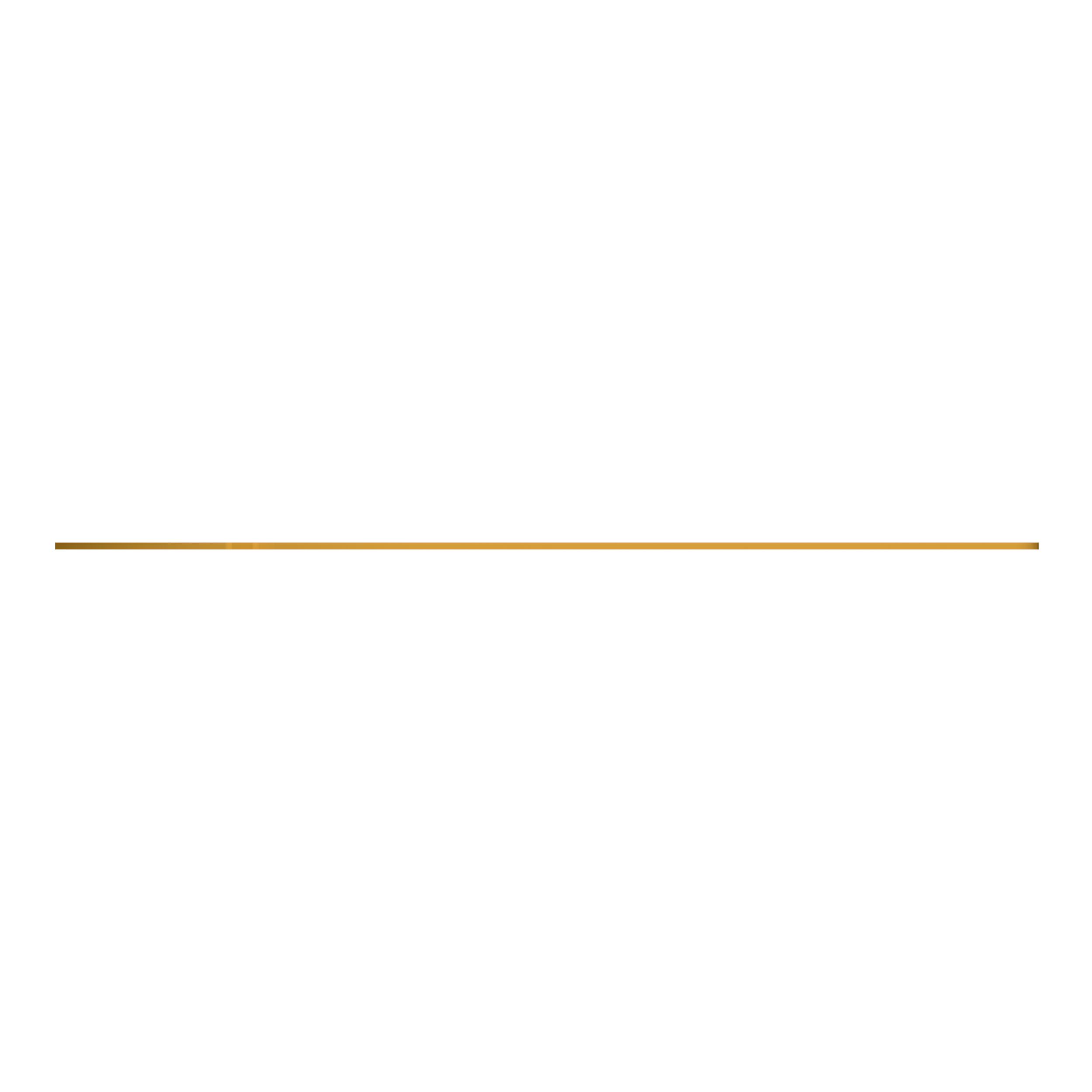 ПЛАСТИНА ИЗНОСНАЯ