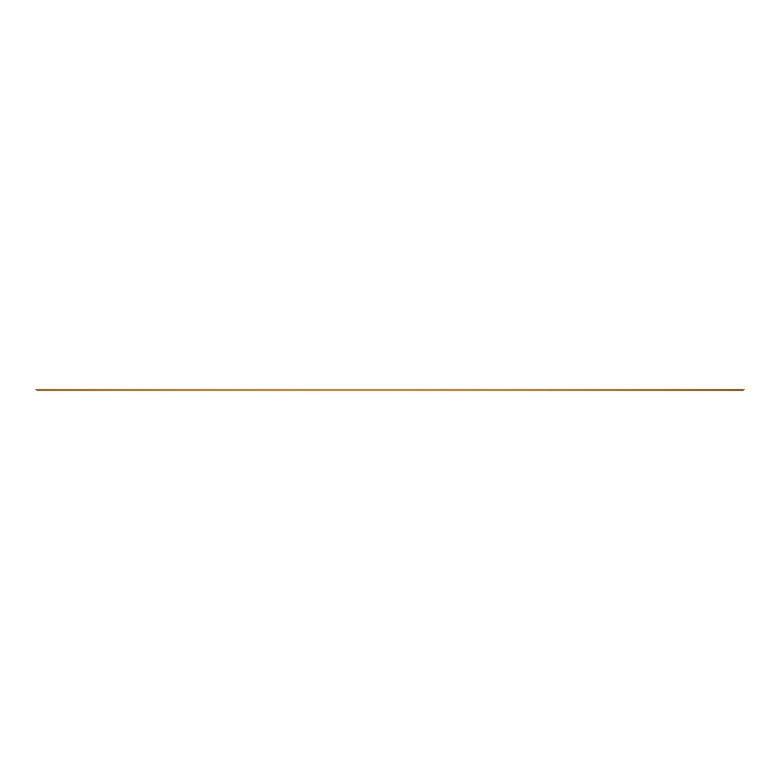 ПЛАСТИНА ИЗНОСНАЯ