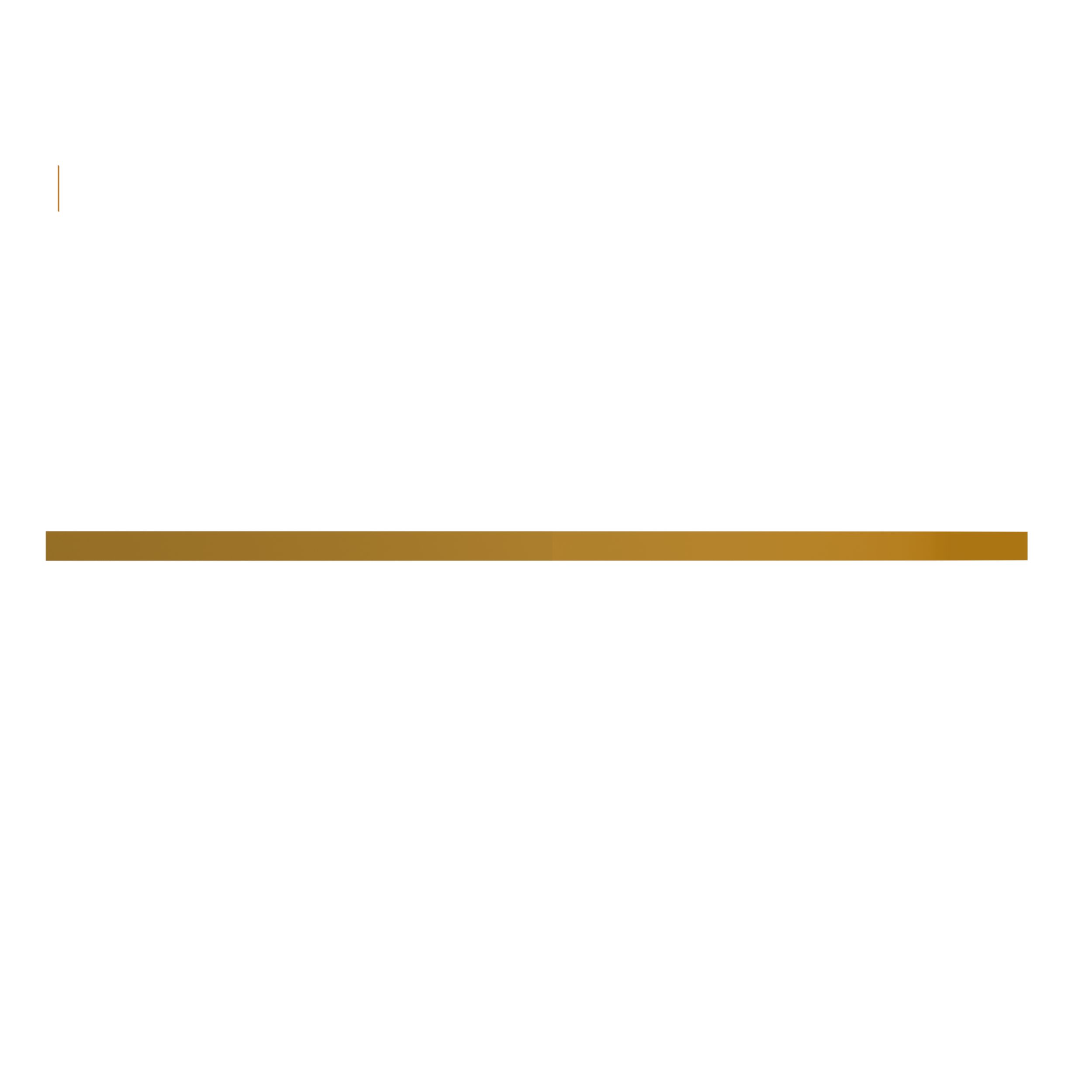 ПЛАСТИНА ИЗНОСНАЯ