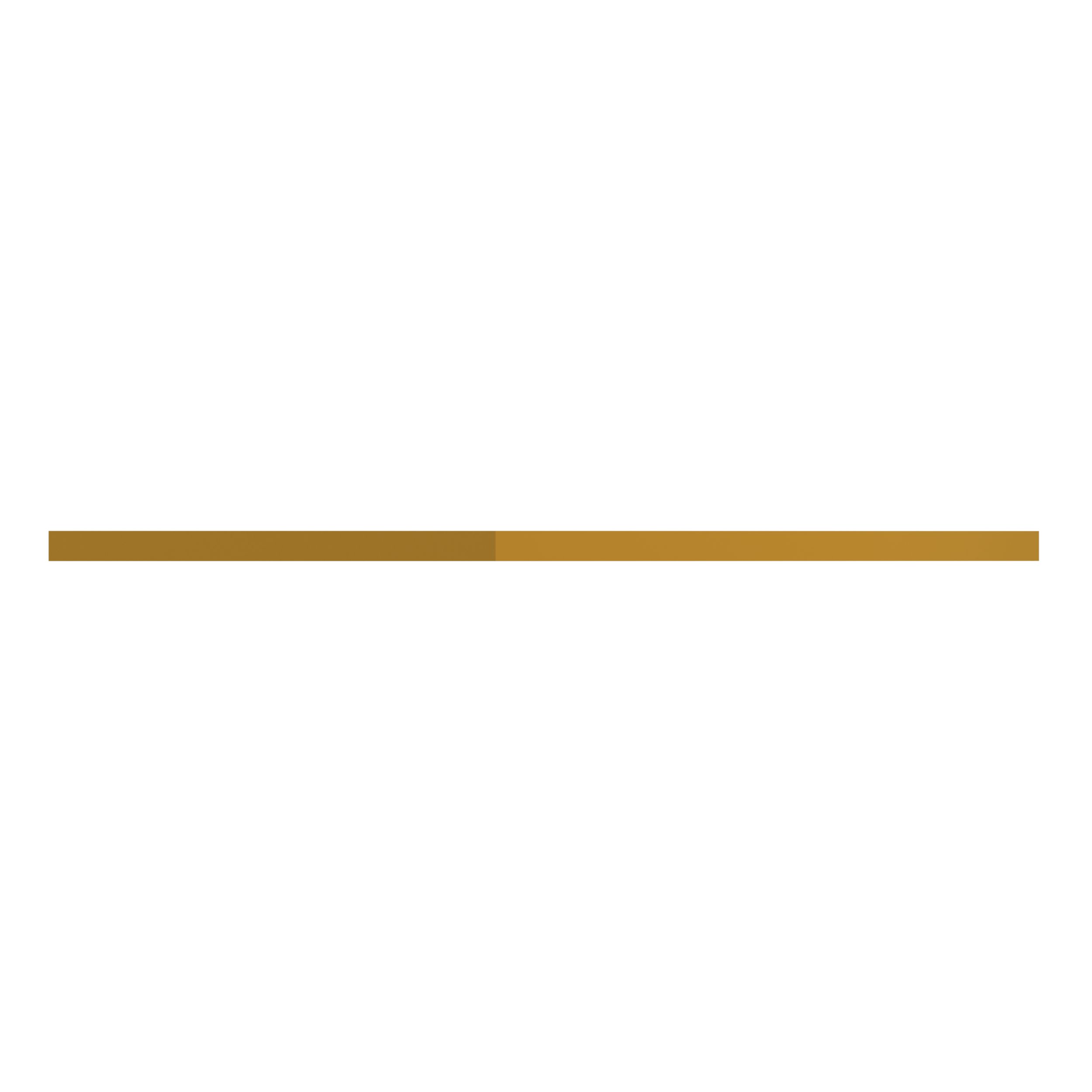 ПЛАСТИНА ИЗНОСНАЯ