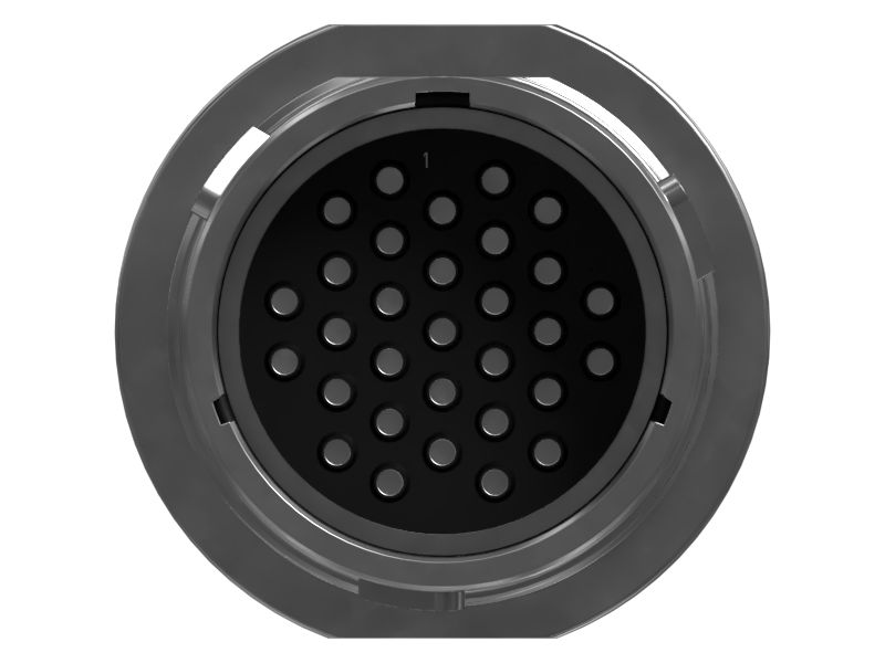 31-контактный гнездовой разъем