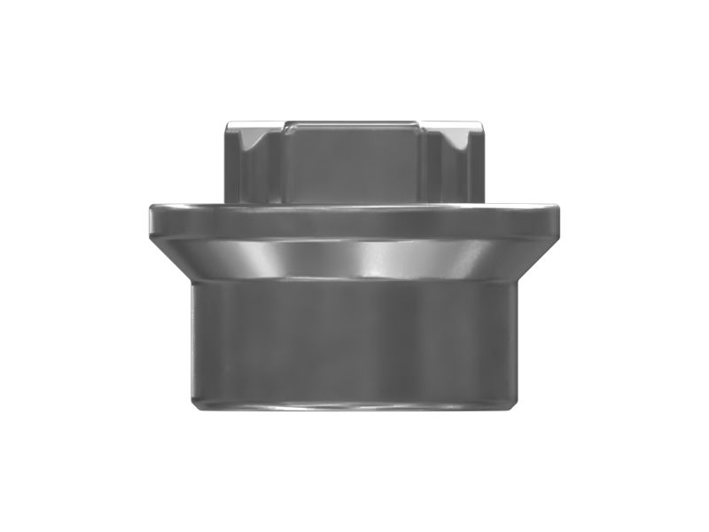 ГАЙКА С КОЛЬЦЕВОЙ ВСТАВКОЙ