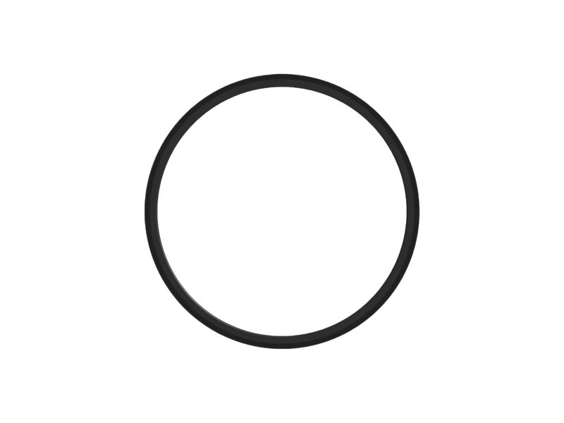 Piston Seal