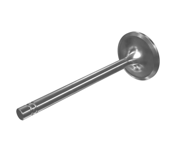 Впускной клапан двигателя