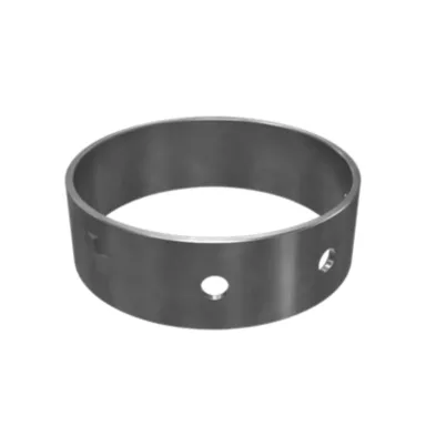 1W-0312: Lagăr-Principal