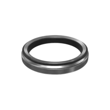 222-7001: Lippendichtung für Schienen