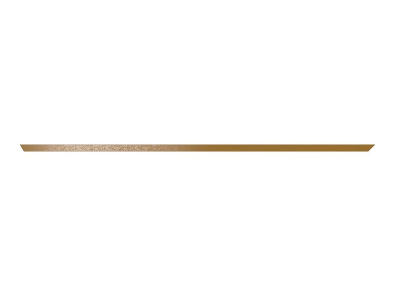 ПЛАСТИНА ИЗНОСНАЯ