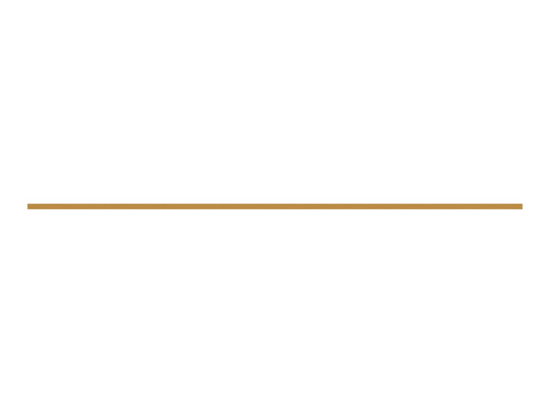 ПЛАСТИНА ИЗНОСНАЯ