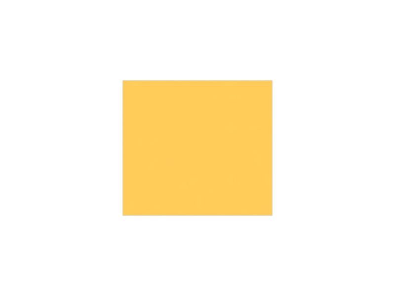 ПЛАСТИНА ИЗНОСНАЯ