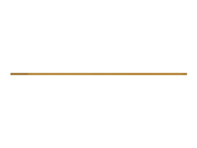 ПЛАСТИНА ИЗНОСНАЯ