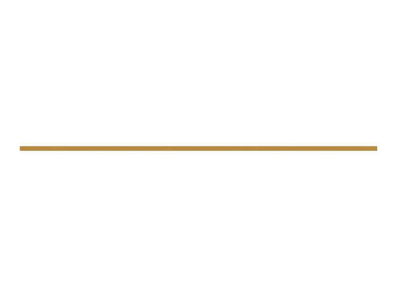 ПЛАСТИНА ИЗНОСНАЯ